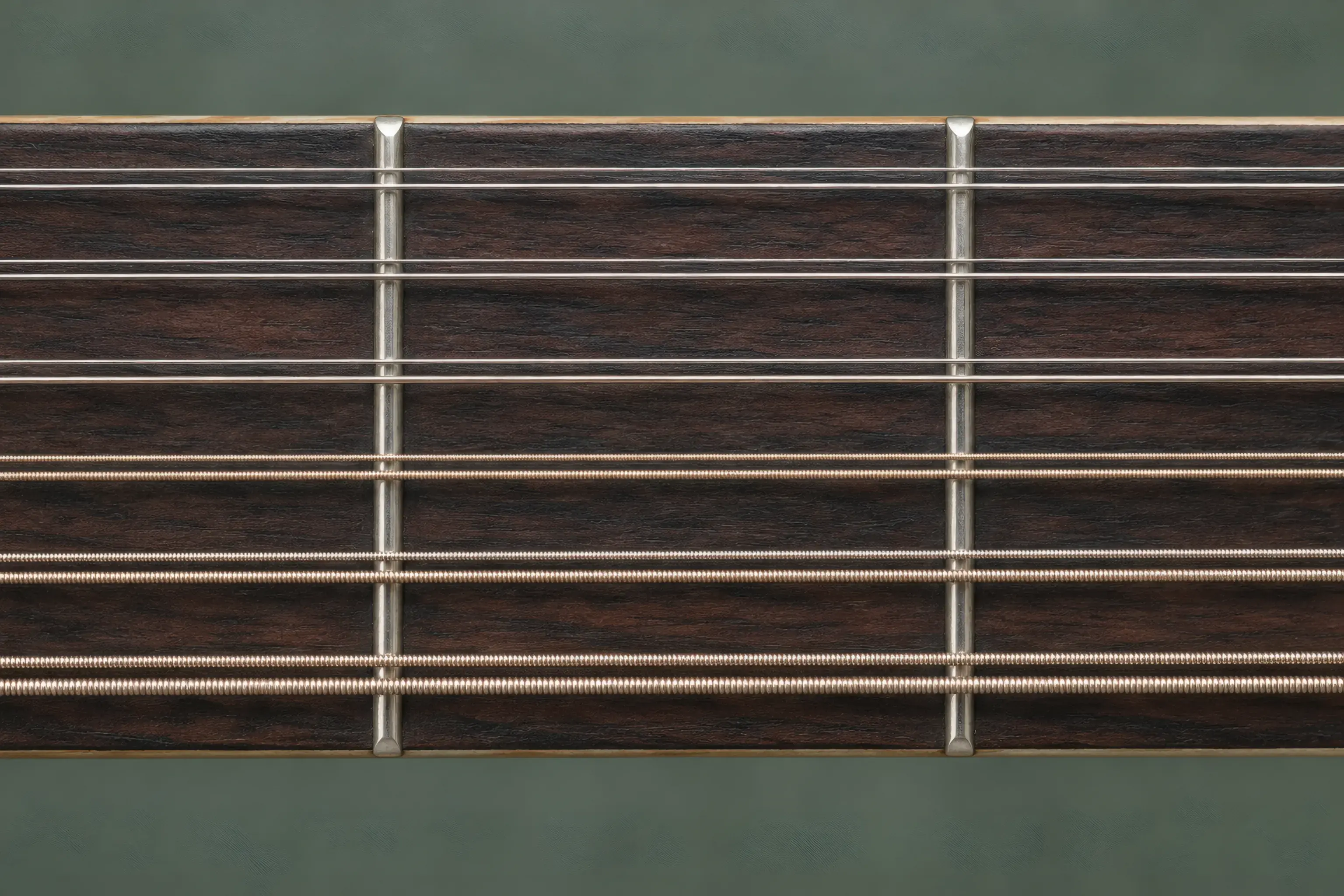 Six paired courses of strings crossing a twelve-string guitar fretboard
